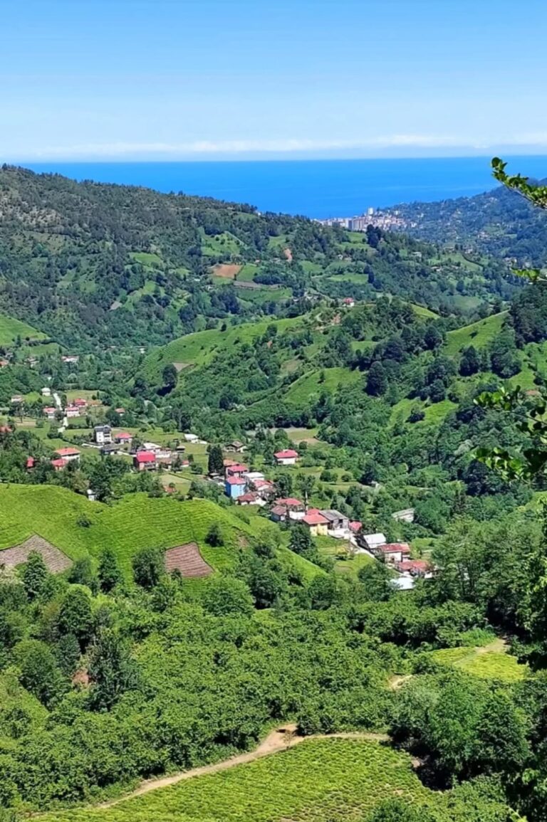 Yolgeçen Köyü: Jin İsina Otel ile Arhavi’nin Doğasını Turizmle Buluşturan Yeni Cazibe Merkezi