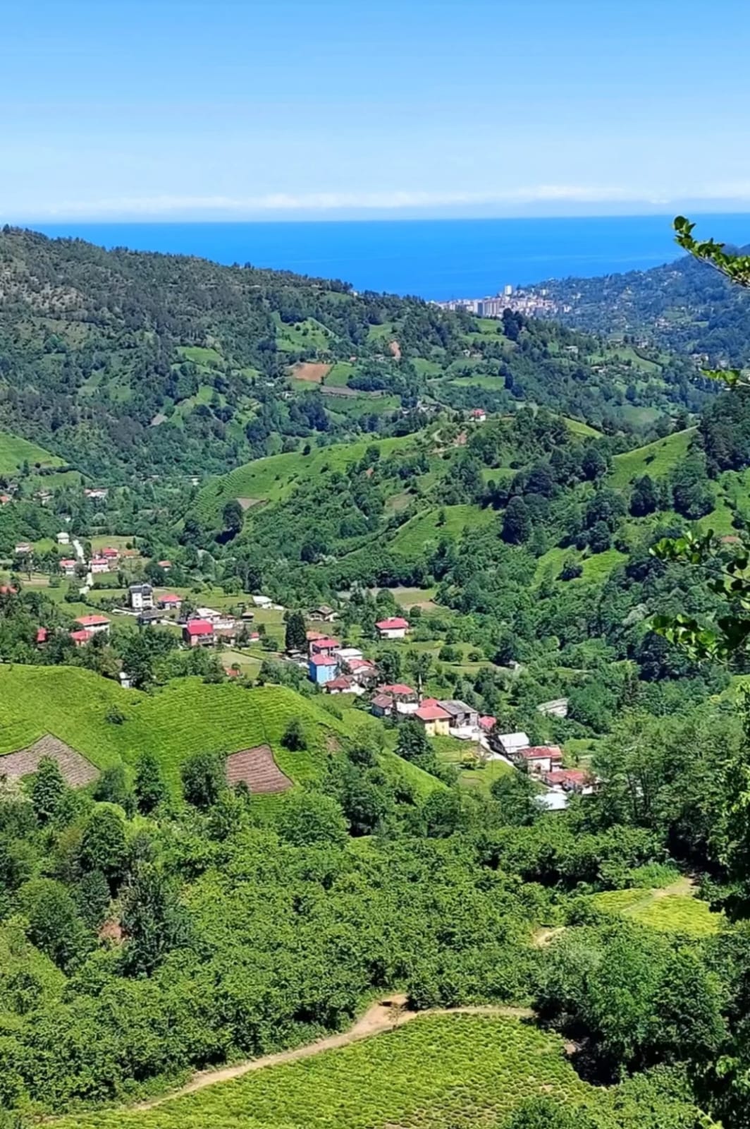 Yolgeçen Köyü: Jin İsina Otel ile Arhavi’nin Doğasını Turizmle Buluşturan Yeni Cazibe Merkezi