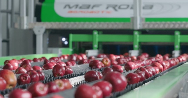 Egemas, 60. yaşını endüstriyel dönüşüm hamlesiyle kutluyor