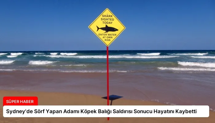Sydney’de Sörf Yapan Adamı Köpek Balığı Saldırısı Sonucu Hayatını Kaybetti