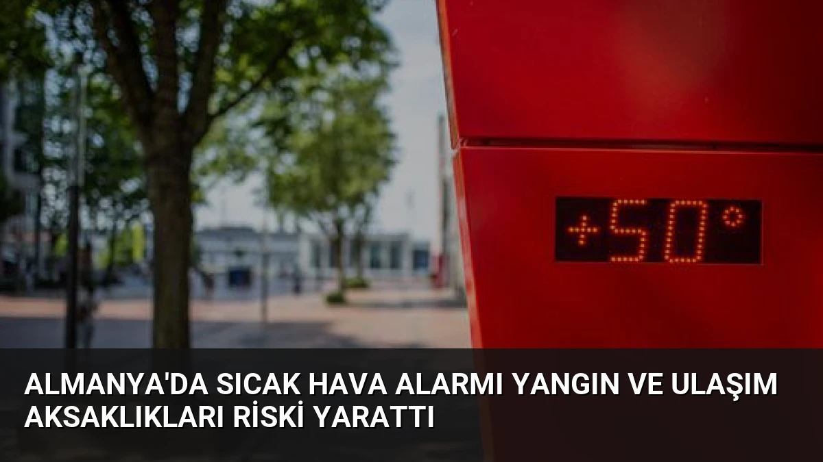 Almanya’da Sıcak Hava Alarmı Yangın ve Ulaşım Aksaklıkları Riski Yarattı