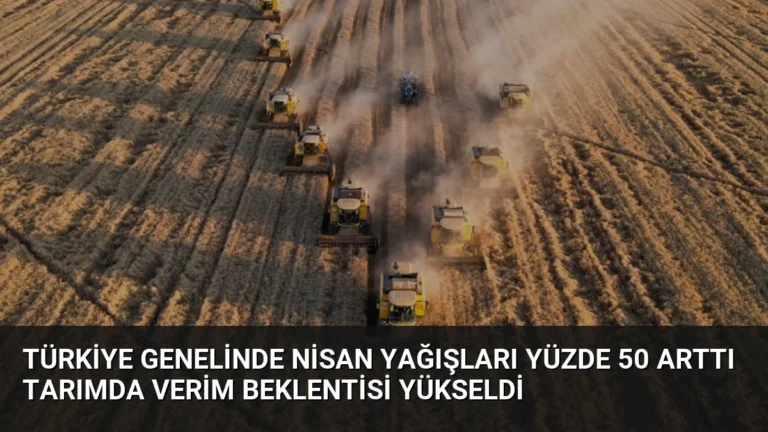 Türkiye Genelinde Nisan Yağışları Yüzde 50 Arttı Tarımda Verim Beklentisi Yükseldi