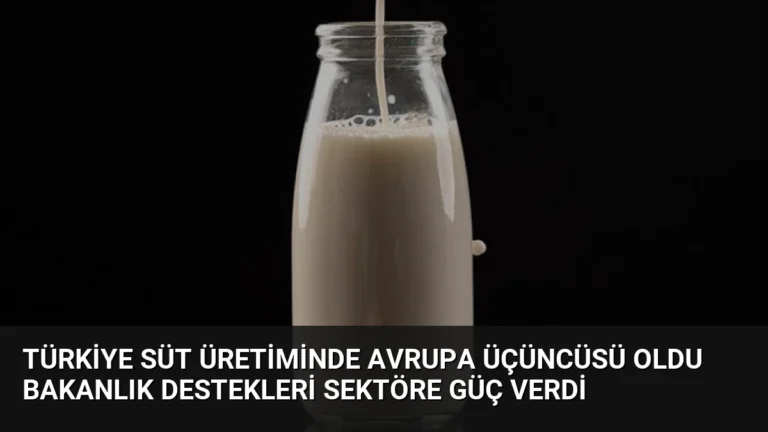Türkiye Süt Üretiminde Avrupa Üçüncüsü Oldu Bakanlık Destekleri Sektöre Güç Verdi
