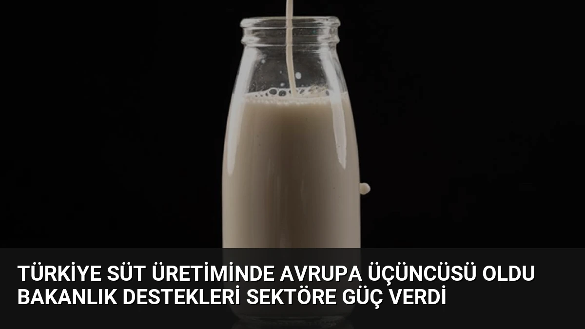 Türkiye Süt Üretiminde Avrupa Üçüncüsü Oldu Bakanlık Destekleri Sektöre Güç Verdi