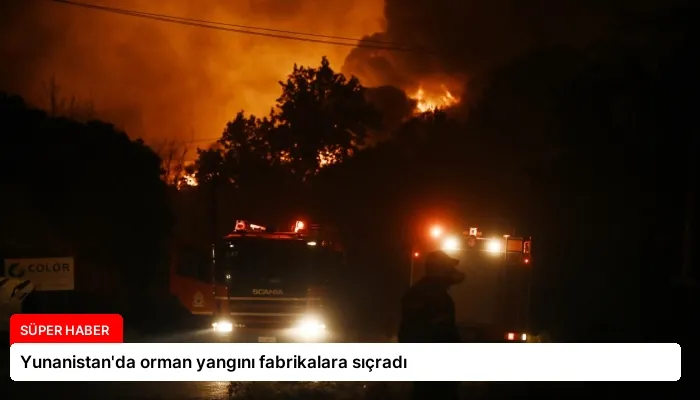 Yunanistan’da orman yangını fabrikalara sıçradı