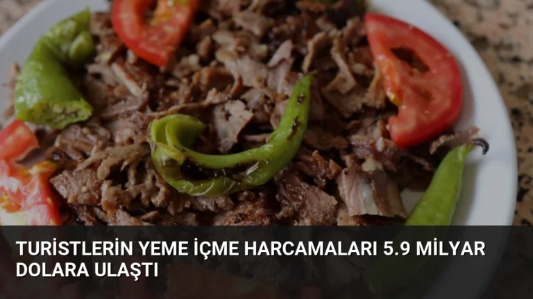 Turistlerin Yeme İçme Harcamaları 5.9 Milyar Dolara Ulaştı