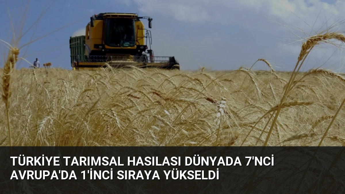 Türkiye Tarımsal Hasılası Dünyada 7’nci Avrupa’da 1’inci Sıraya Yükseldi