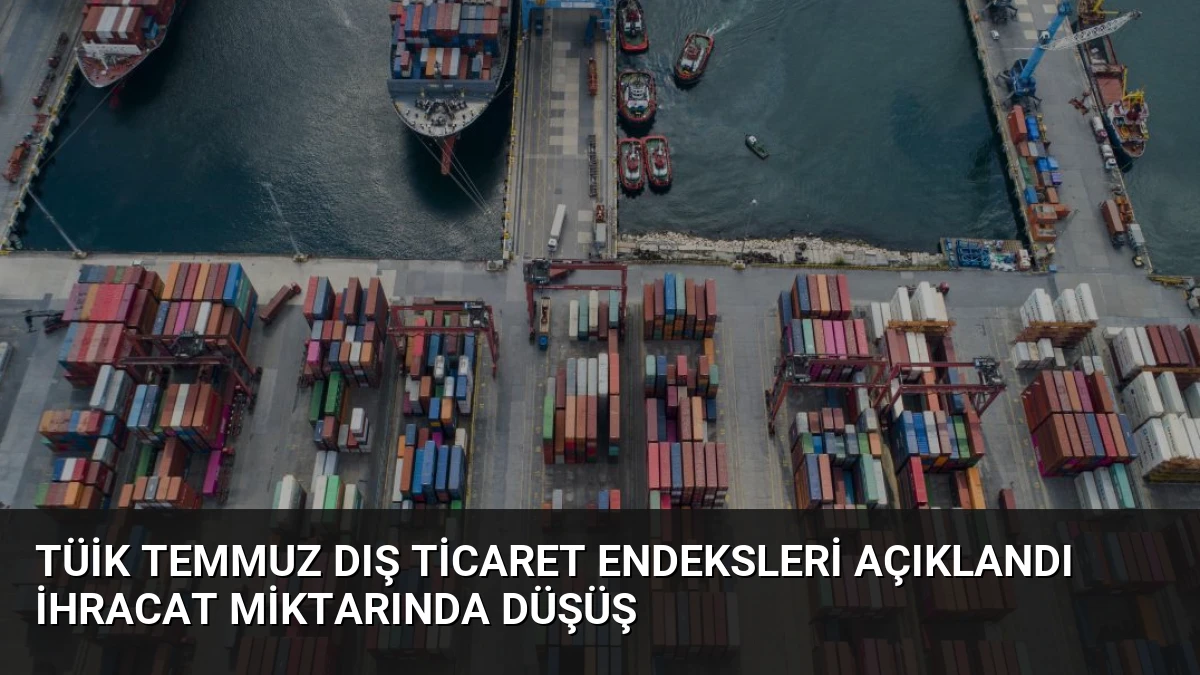 TÜİK Temmuz Dış Ticaret Endeksleri Açıklandı İhracat Miktarında Düşüş